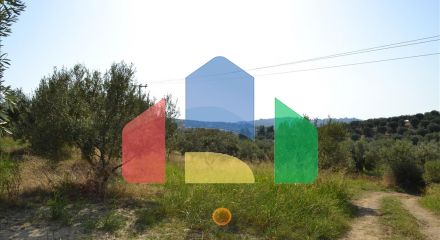 For Sale - Land 6500 m² in Kassandra, Chalkidiki