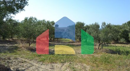 For Sale - Land 6500 m² in Kassandra, Chalkidiki