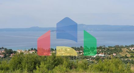 Продажа - Земельный участок 9603 m² на Кассандре (Халкидики)