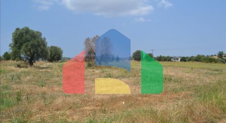 Продаж - Земельна ділянка 15500 m² на Кассандрі (Халкідіки)
