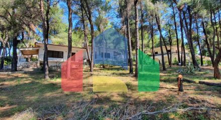 Продаж - Вілла 440 m² на Кассандрі (Халкідіки) Продаж - Вілла 440 m² на Кассандрі (Халкідіки)