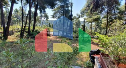 Продаж - Вілла 440 m² на Кассандрі (Халкідіки) Продаж - Вілла 440 m² на Кассандрі (Халкідіки)