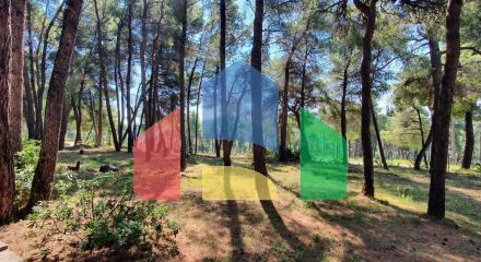 Продаж - Вілла 440 m² на Кассандрі (Халкідіки) Продаж - Вілла 440 m² на Кассандрі (Халкідіки)