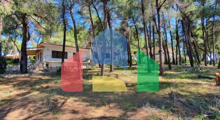 Продаж - Вілла 440 m² на Кассандрі (Халкідіки) Продаж - Вілла 440 m² на Кассандрі (Халкідіки)