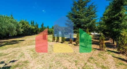 For Sale - Land 2500 m² in Kassandra, Chalkidiki
