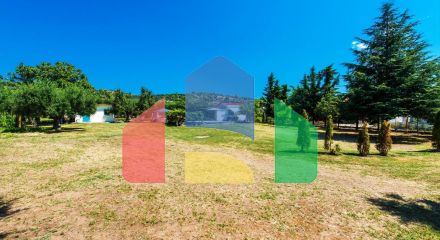 For Sale - Land 2500 m² in Kassandra, Chalkidiki