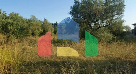 For Sale - Land 4250 m² in Kassandra, Chalkidiki