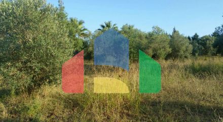 For Sale - Land 4250 m² in Kassandra, Chalkidiki