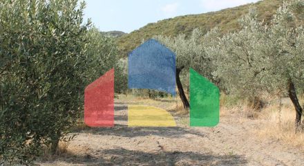 Продаж - Земельна ділянка 6000 m² на Кассандрі (Халкідіки)