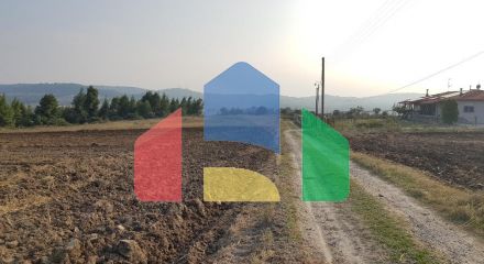 Продажа - Земельный участок 11005 m² на Кассандре (Халкидики)
