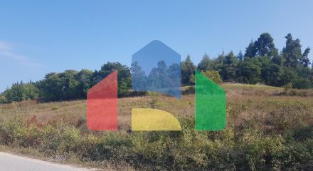 For Sale - Land 8000 m² in Kassandra, Chalkidiki