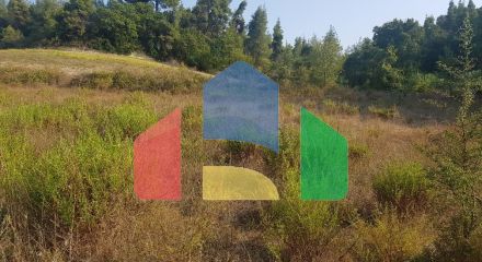 For Sale - Land 8000 m² in Kassandra, Chalkidiki