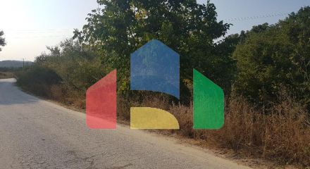 For Sale - Land 8000 m² in Kassandra, Chalkidiki