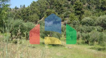For Sale - Land 16500 m² in Kassandra, Chalkidiki