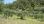 For Sale - Land 16500 m² in Kassandra, Chalkidiki