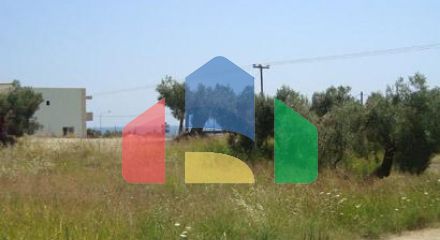 For Sale - Land 16500 m² in Kassandra, Chalkidiki