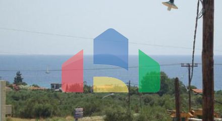 For Sale - Land 16500 m² in Kassandra, Chalkidiki