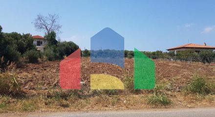 For Sale - Land 3000 m² in Kassandra, Chalkidiki