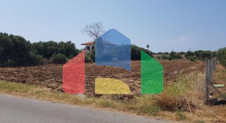 For Sale - Land 3000 m² in Kassandra, Chalkidiki