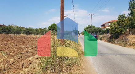 For Sale - Land 3000 m² in Kassandra, Chalkidiki