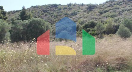 For Sale - Land 450 m² in Kassandra, Chalkidiki