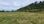 For Sale - Land 3928 m² in Kassandra, Chalkidiki
