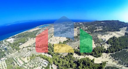 For Sale - Land 12000 m² in Kassandra, Chalkidiki