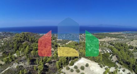 For Sale - Land 12000 m² in Kassandra, Chalkidiki