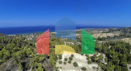For Sale - Land 12000 m² in Kassandra, Chalkidiki