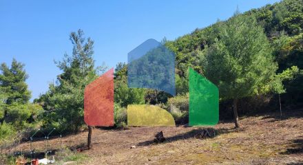 For Sale - Land 4500 m² in Kassandra, Chalkidiki