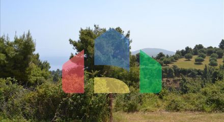 For Sale - Land 4650 m² in Kassandra, Chalkidiki