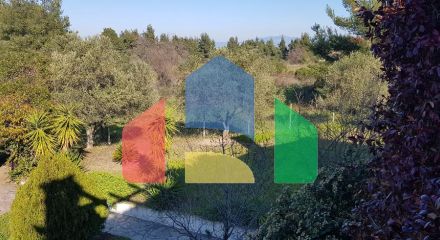 Продажа - Коттедж 160 m² на Кассандре (Халкидики)