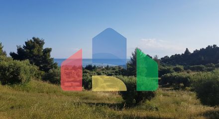 For Sale - Land 4500 m² in Kassandra, Chalkidiki