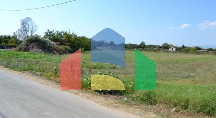 For Sale - Land 9521 m² in Kassandra, Chalkidiki