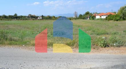 For Sale - Land 9521 m² in Kassandra, Chalkidiki