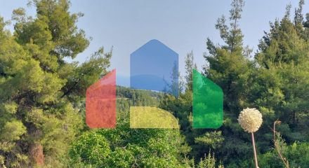 Продаж - Земельна ділянка 6150 m² на Кассандрі (Халкідіки)