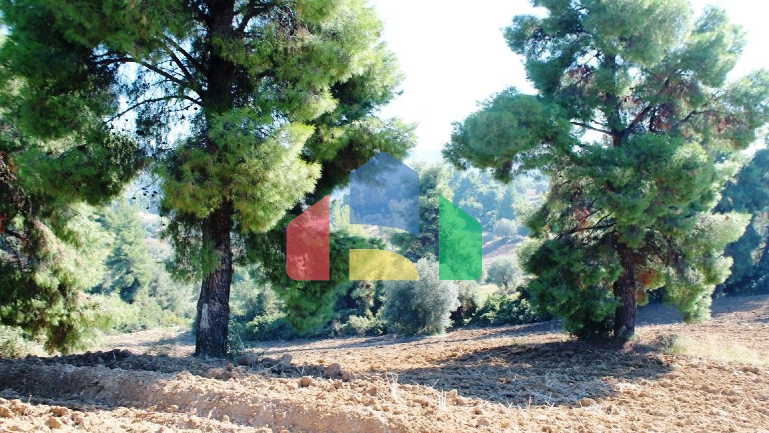 Продаж - Земельна ділянка 9500 m² на Кассандрі (Халкідіки)