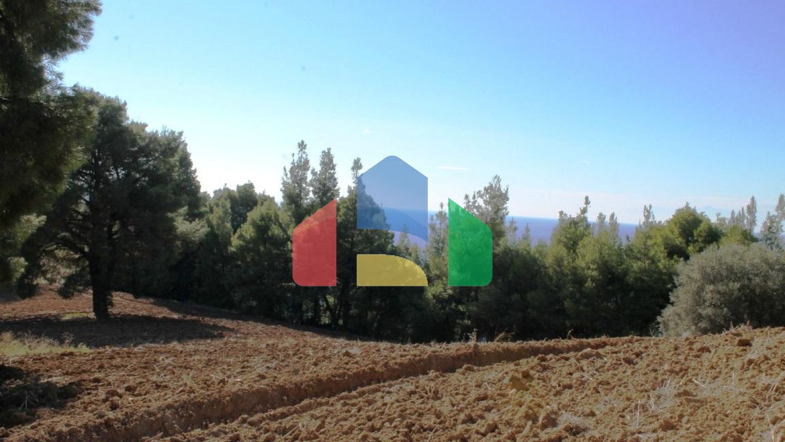 Продаж - Земельна ділянка 9500 m² на Кассандрі (Халкідіки)