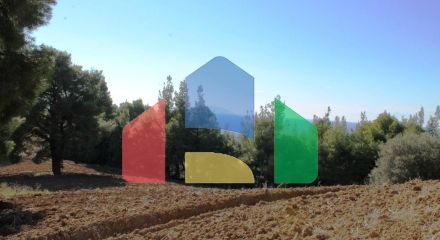 Продаж - Земельна ділянка 9500 m² на Кассандрі (Халкідіки)