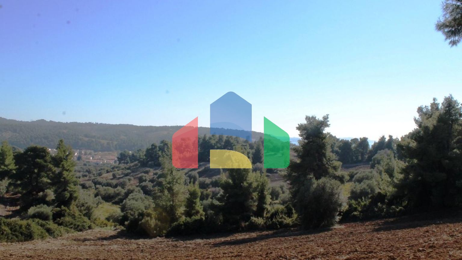 Продаж - Земельна ділянка 9500 m² на Кассандрі (Халкідіки)