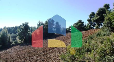 Продаж - Земельна ділянка 9500 m² на Кассандрі (Халкідіки)