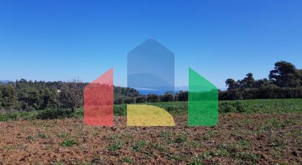Продаж - Земельна ділянка 7300 m² на Кассандрі (Халкідіки)
