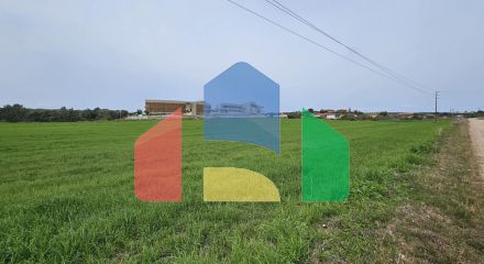 Продажа - Земельный участок 55000 m² на Кассандре (Халкидики)