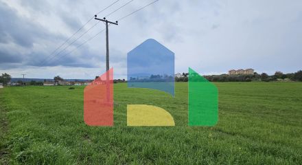 Продажа - Земельный участок 55000 m² на Кассандре (Халкидики)
