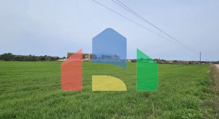 Продажа - Земельный участок 55000 m² на Кассандре (Халкидики)