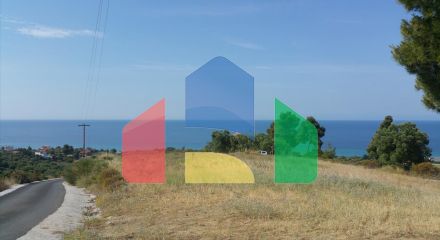 For Sale - Land 4062 m² in Kassandra, Chalkidiki