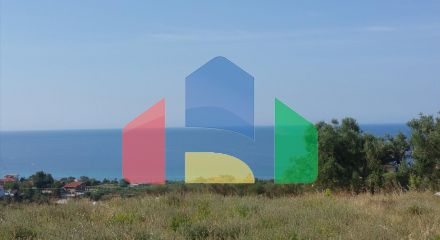 For Sale - Land 4062 m² in Kassandra, Chalkidiki