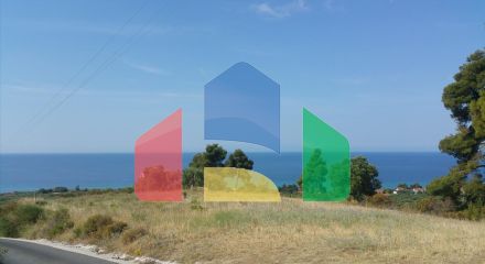 Продаж - Земельна ділянка 4062 m² на Кассандрі (Халкідіки) Продаж - Земельна ділянка 4062 m² на Кассандрі (Халкідіки)