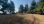 For Sale - Land 13886 m² in Kassandra, Chalkidiki