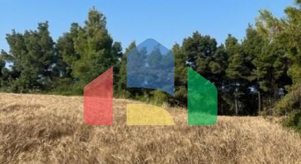 For Sale - Land 13886 m² in Kassandra, Chalkidiki